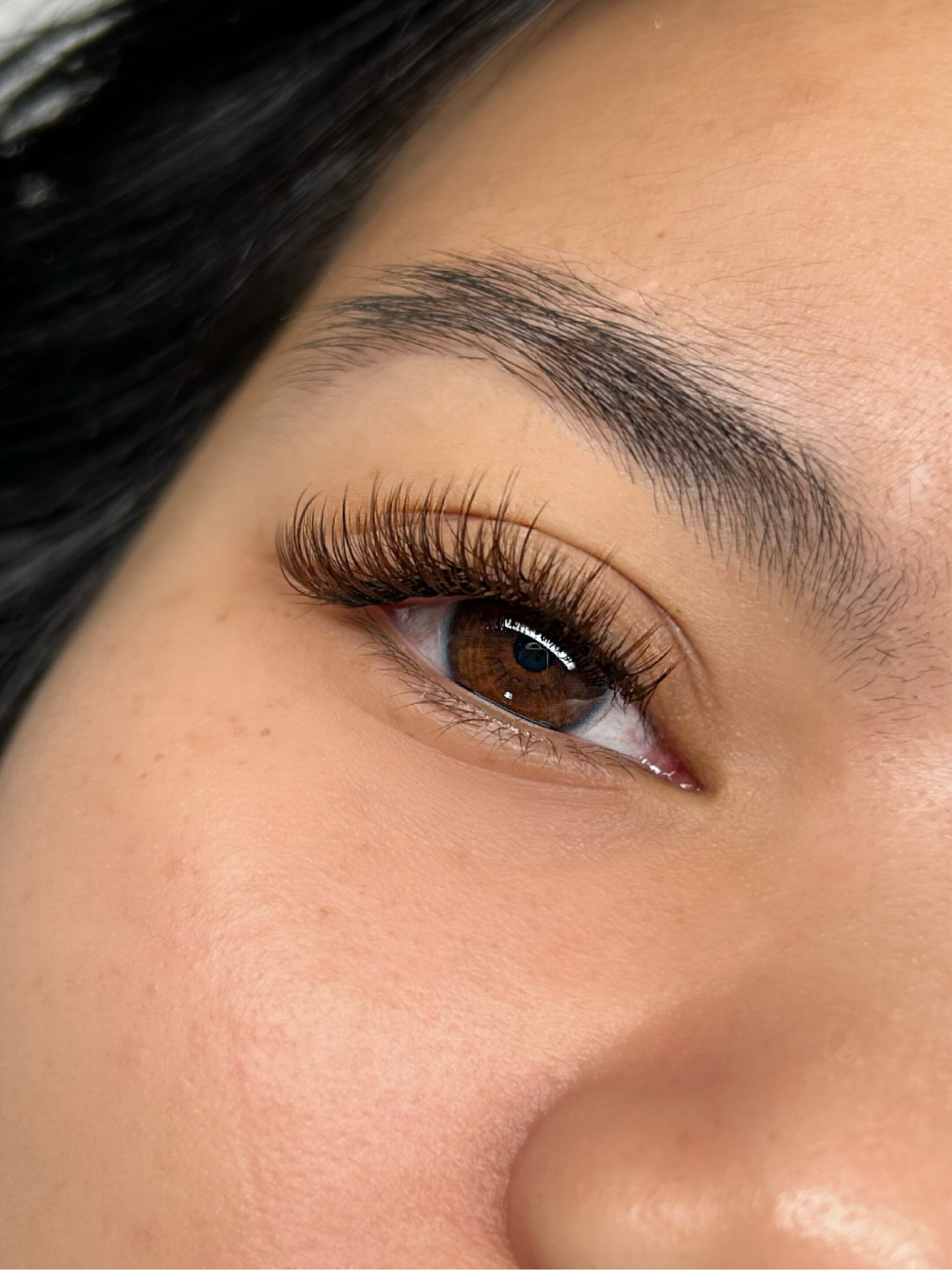 Brown Volume Lashes 0.05 (7-15mm)